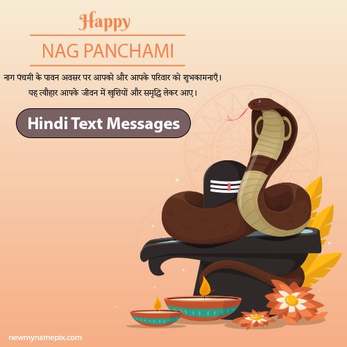 Hindi Text Writing Messages Happy Nag Panchami SMS Wishes