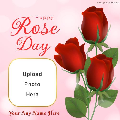 Edit Card Happy Rose Day Wishes Photo Frame Create Free